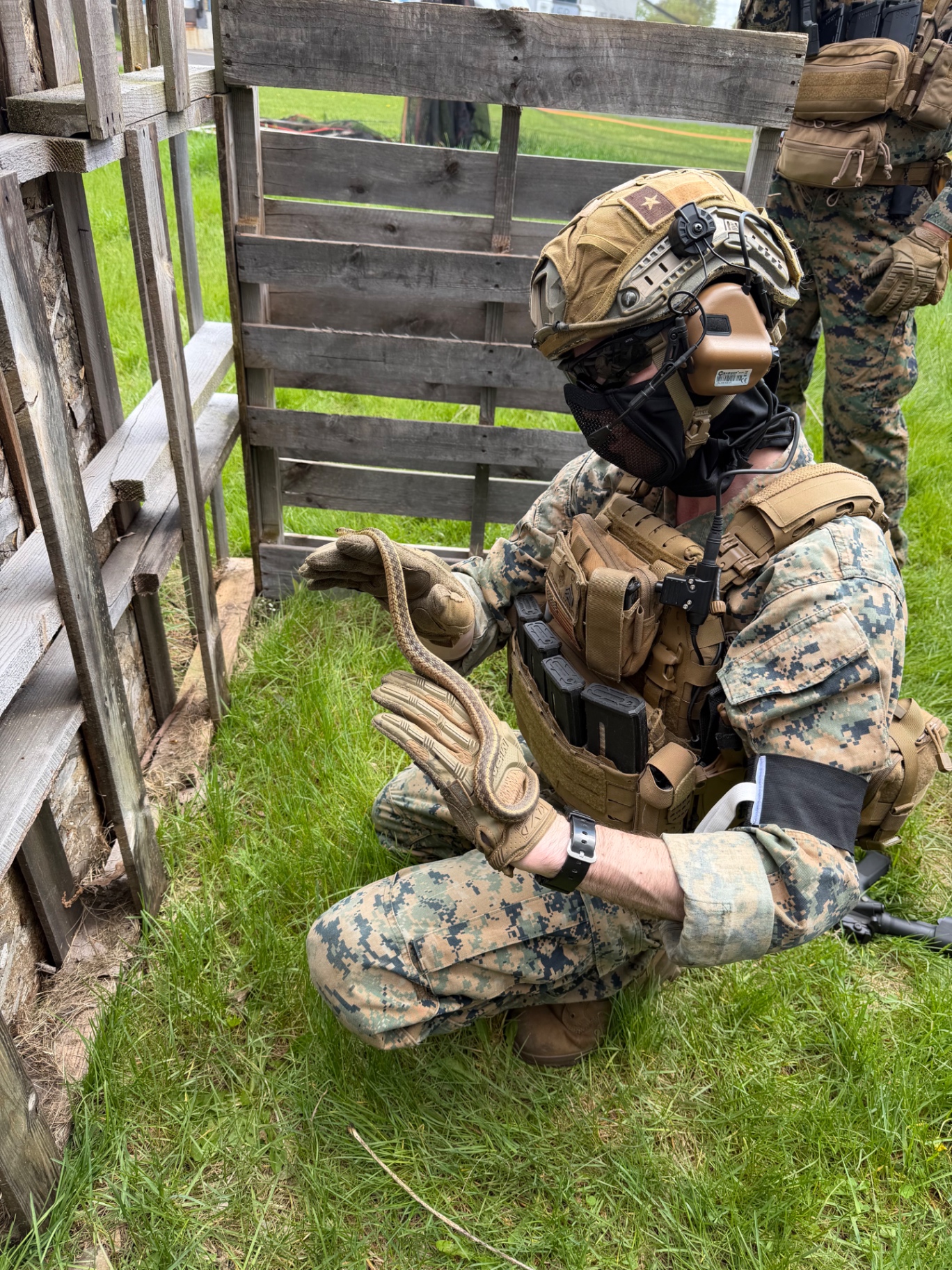 A player in camouflage, helmet and mask crouches on the grass holding a snake beside a pallet barrier while another geared player stands behind